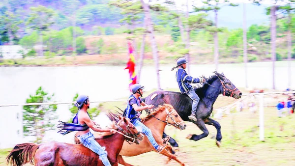Giải đua ngựa không yên dưới chân núi Lang Biang.