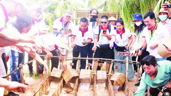 Du khách thích thú với trò chơi đua cua có thưởng tại điểm du lịch cộng đồng ấp Cồn Chim, xã Hòa Minh.