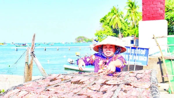 Người dân ở đặc khu Kiên Hải phơi khô cá biển.