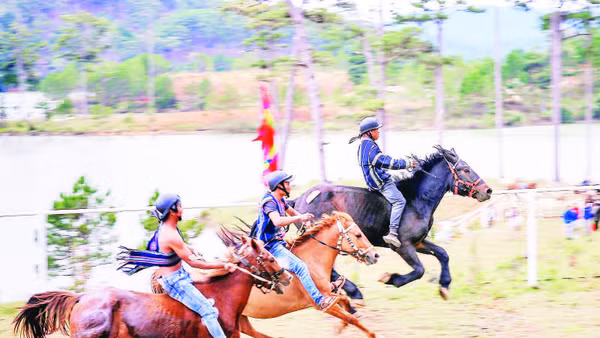 Giải đua ngựa không yên dưới chân núi Lang Biang.