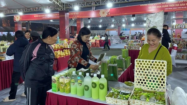 Người tiêu dùng tìm mua các sản phẩm phục vụ Tết tại chương trình.