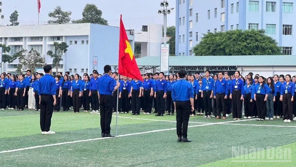 Đoàn viên trên địa bàn tỉnh Đồng Tháp tổ chức chào cờ Chào mừng Đại hội đại biểu toàn quốc lần thứ XIV của Đảng.