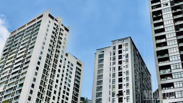 Cần lộ trình phù hợp để tránh gây xáo trộn thị trường. (Ảnh: HNV)