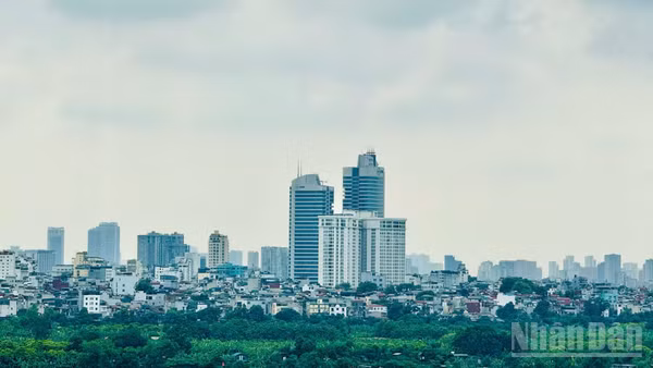 Thị trường đang ghi nhận sự dịch chuyển của hành trình tiếp cận khách hàng dưới tác động của AI. (Ảnh: HNV)