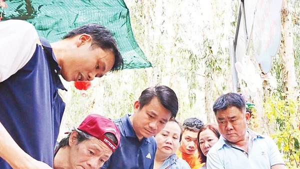 Du khách tham quan mô hình nuôi ong. Ảnh: LƯU MỸ