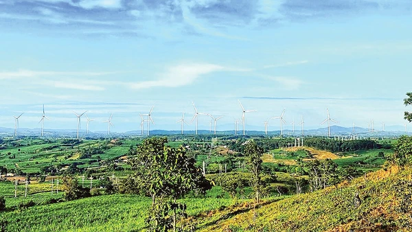 Phát triển điện gió tại Tây Nguyên cần thêm nhiều cơ chế hỗ trợ. Ảnh EVN