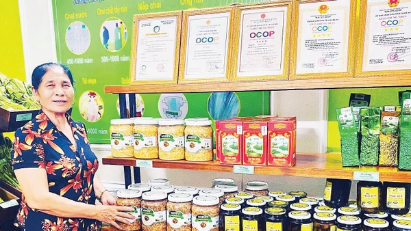 Bà Hồ Thị Quế và sản phẩm nhút Thanh Chương.