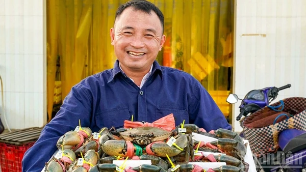 Cua Cà Mau có tem truy xuất nguồn gốc, không lẫn lộn với cua ở các vùng, miền khác trong cả nước.