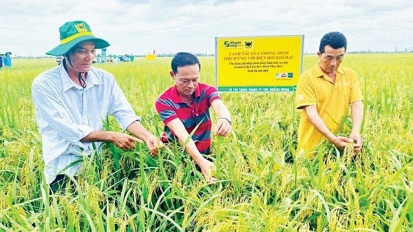 Mã QR được triển khai rộng rãi trong chương trình chuyển đổi số nông nghiệp tại An Giang. Ảnh: Báo An Giang