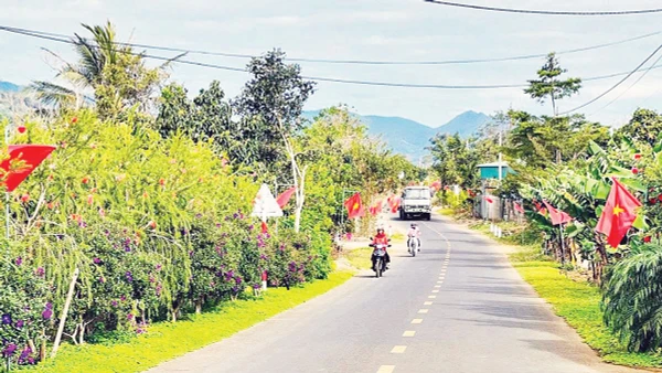 Các hợp tác xã ở Gia Lai đang góp phần thay đổi diện mạo nông thôn, giữ nét xanh bền vững cho Tây Nguyên.