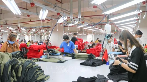 An Giang hỗ trợ tối đa 30% giá trị hợp đồng tư vấn nhưng không quá 200 triệu đồng/năm/doanh nghiệp đối với doanh nghiệp vừa do phụ nữ làm chủ, vừa sử dụng nhiều lao động nữ. 