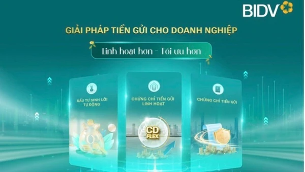 Việc mở rộng cấu trúc kỳ hạn và phương thức nhận lãi giúp các doanh nghiệp chủ động hơn trong hoạch định dòng tiền trung-dài hạn.