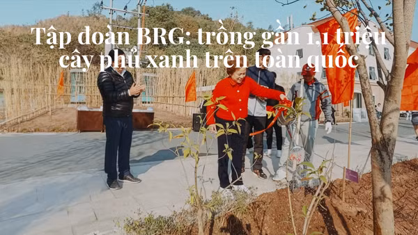 Tập đoàn BRG: trồng gần 1,1 triệu cây phủ xanh trên toàn quốc