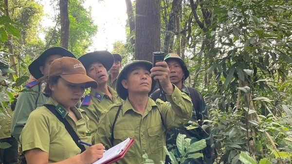 Cán bộ Ban Quản lý Khu dự trữ thiên nhiên Mường Nhé cùng lực lượng kiểm lâm, nhân dân trên địa bàn tuần tra rừng.