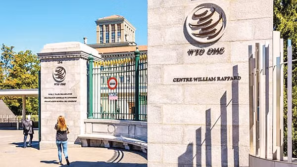 Cải tổ - đòi hỏi có thật dành cho WTO.