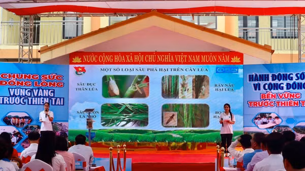 Hà My và Nam Phương tự tin trong buổi thuyết trình giới thiệu về dự án. Ảnh: Plan International Việt Nam