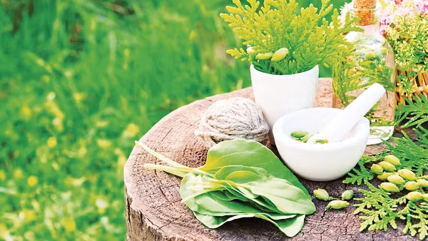 Ảnh: Hallmark Builders