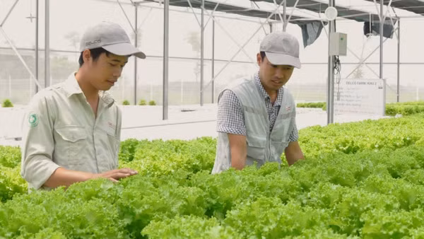 Năm 2025, kim ngạch xuất khẩu rau quả lần đầu tiên vượt mốc 8,5 tỷ USD, tăng gần 20% nhờ chiến lược chế biến sâu và mở cửa thị trường.