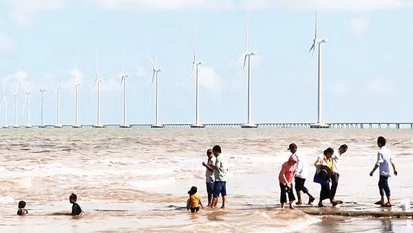 Cánh đồng điện gió - một trong những điểm thu hút khách du lịch của tỉnh Vĩnh Long.