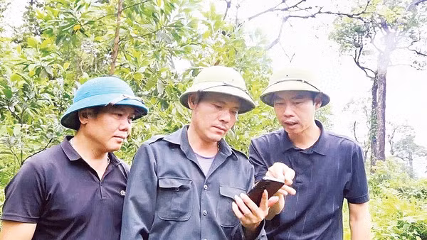 Lực lượng bảo vệ rừng ứng dụng phần mềm Smart mobile để thực hiện tuần tra rừng. Ảnh: Trung Kiên
