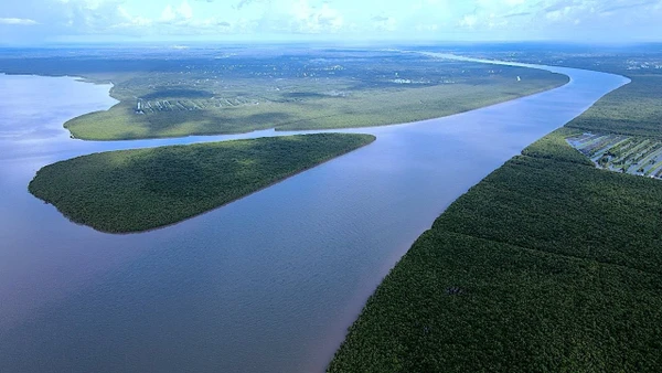 Tham gia thị trường tín chỉ carbon, Cà Mau ước tính có nguồn thu khoảng hơn 3.500 tỷ đồng mỗi năm từ “kho báu xanh”.