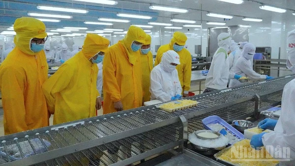 Lãnh đạo tỉnh Cà Mau mặc bảo hộ lao động (màu vàng) tham quan dây chuyền sản xuất, chế biến tại nhà xưởng của Tập đoàn Camimex vào sáng 26/2.