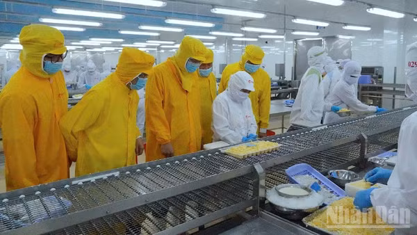 Lãnh đạo tỉnh Cà Mau mặc bảo hộ lao động (màu vàng) tham quan dây chuyền sản xuất, chế biến tại nhà xưởng của Tập đoàn Camimex vào sáng 26/2.