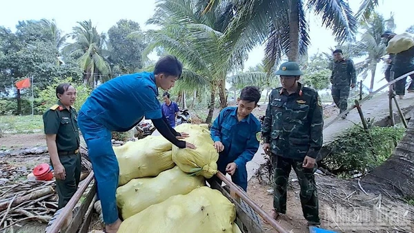 Cán bộ, chiến sĩ Bộ Chỉ huy Quân sự tỉnh Cà Mau xuống tận nơi hỗ trợ nhà nông tiêu thụ bí đỏ.