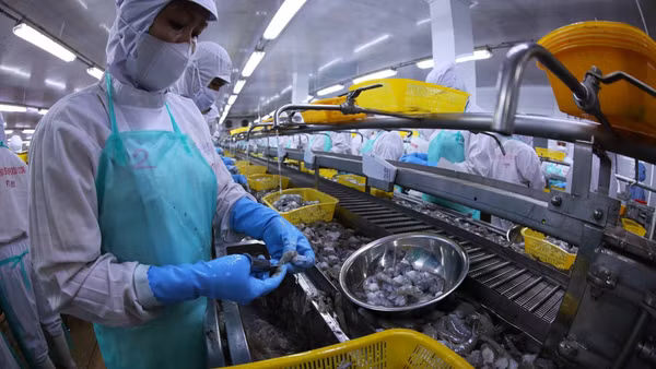 Khu vực nông, lâm nghiệp và thủy sản tăng 3,58%. Ảnh: TTXVN