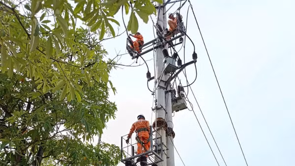 Điện lực Hưng Yên sửa chữa lưới điện trong mùa nắng nóng.