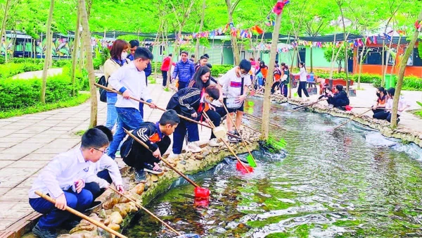 Học sinh tham gia các hoạt động trải nghiệm tại khu sinh thái Phù Đổng Green Park.