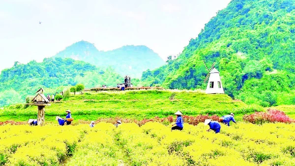 Vườn hoa bốn mùa tại Thung Nham thu hút du khách.