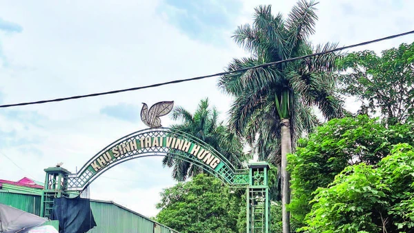 Khu sinh thái Vĩnh Hưng bỏ hoang nhiều năm.