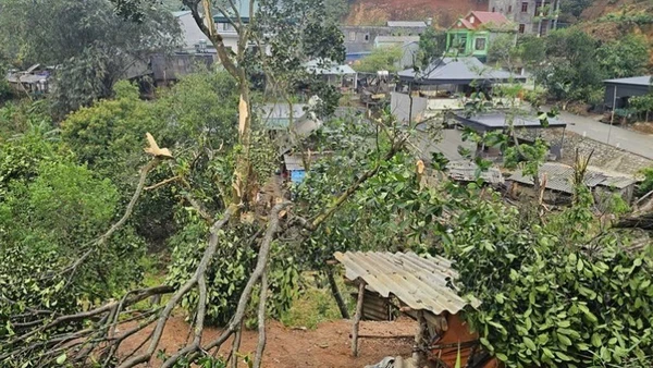 Cây gãy, đổ vào đường dây điện do mưa giông lốc, gây hư hỏng lưới điện tại xã Bản Lầu.