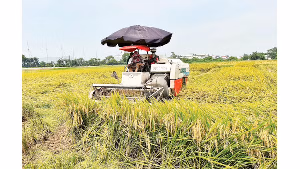 Cơ giới hóa được ứng dụng vào hầu hết các khâu trong sản xuất nông nghiệp. 