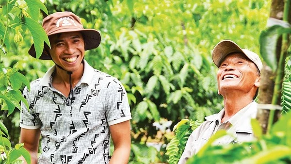 Mô hình trồng xen canh chanh leo và cà-phê mang lại thu nhập ổn định cho hàng trăm hộ nông dân.