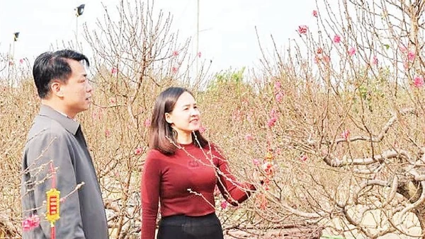 Người dân tham quan Chợ hoa Xuân tại xã Phú Nghĩa.