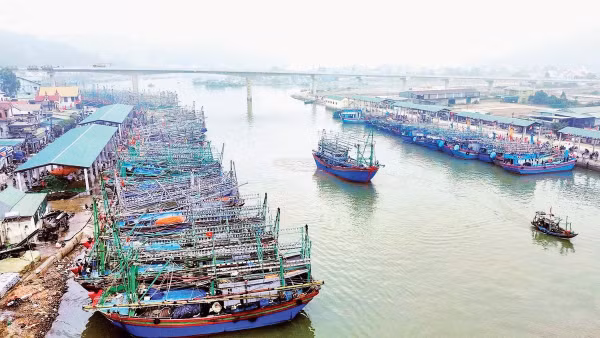 Cảng cá Lạch Quèn, một trong những cảng cá lớn nhất tỉnh Nghệ An. 