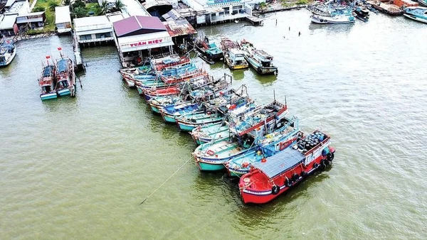 Cảng cá Sông Đốc những ngày giáp Tết Nguyên đán nhộn nhịp tàu khai thác vào bờ bán sản phẩm, kết thúc chuyến biển cuối năm thắng lợi.