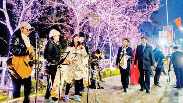 Những nhóm nhạc đường phố biểu diễn tại đường hoa và ánh sáng nghệ thuật.