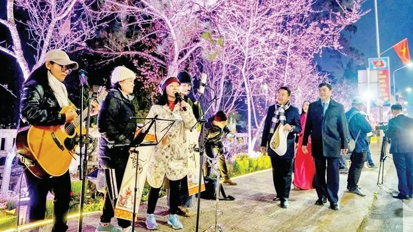 Những nhóm nhạc đường phố biểu diễn tại đường hoa và ánh sáng nghệ thuật.