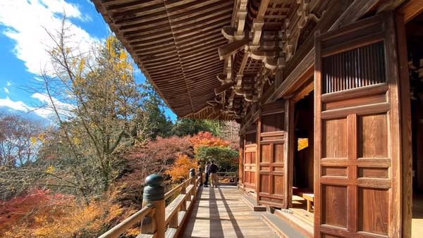 Mọi ngóc ngách, mọi khoảnh khắc đều khiến người ta chậm đi một nhịp. 