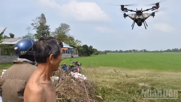 Một nông dân ở xã Mỹ Thành, tỉnh Đồng Tháp thuê máy bay không người lái (drone) để phun phân bón cho đồng ruộng.