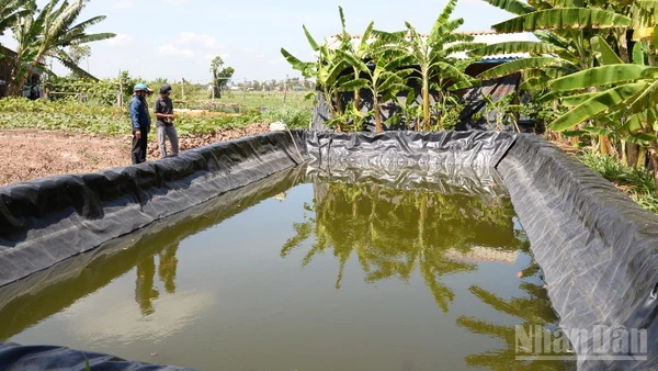 Người dân xã Tân Phú Đông chủ động tích trữ nước phục vụ sản xuất.