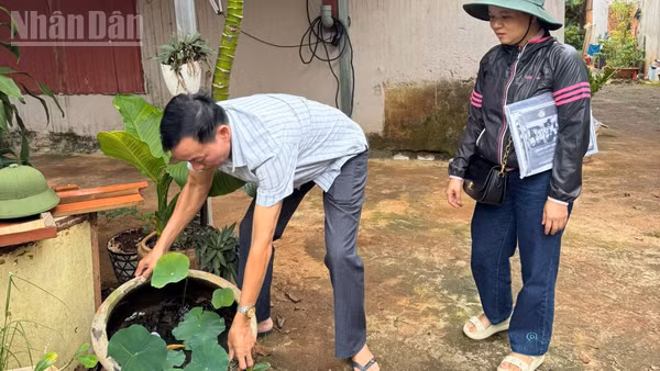 Ban Tự quản Tổ dân phố 12 Tân Lợi, phường Buôn Ma Thuột xử lý nước các chậu chứa nước diệt lăng quăng, phòng, chống sốt xuất huyết. (Ảnh: Công Lý)