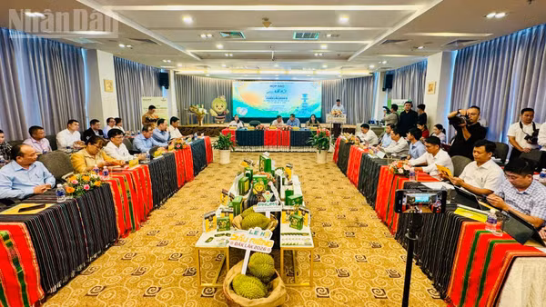 Quang cảnh buổi họp báo.