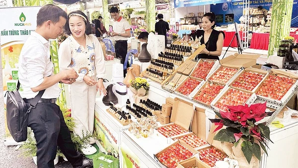 Gian hàng nông sản của doanh nghiệp nhỏ tại một hội chợ mới đây ở thành phố (Ảnh HOÀNG LIÊM)