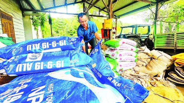 Nhiều năm liền, ông A Don là nông dân sản xuất, kinh doanh giỏi của xã Đăk Long.