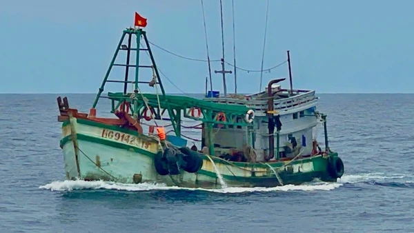 Tàu cá có ngư dân bị thương do rắn biển cắn.