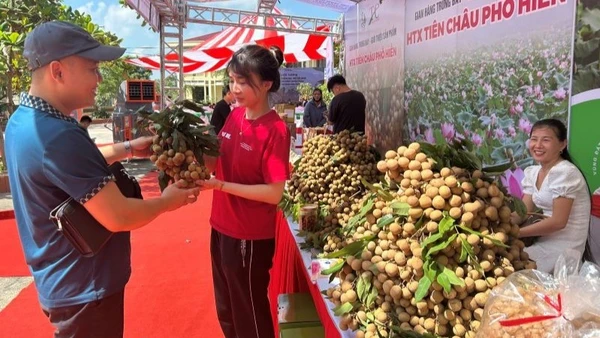  Sản phẩm OCOP nhãn Hưng Yên.